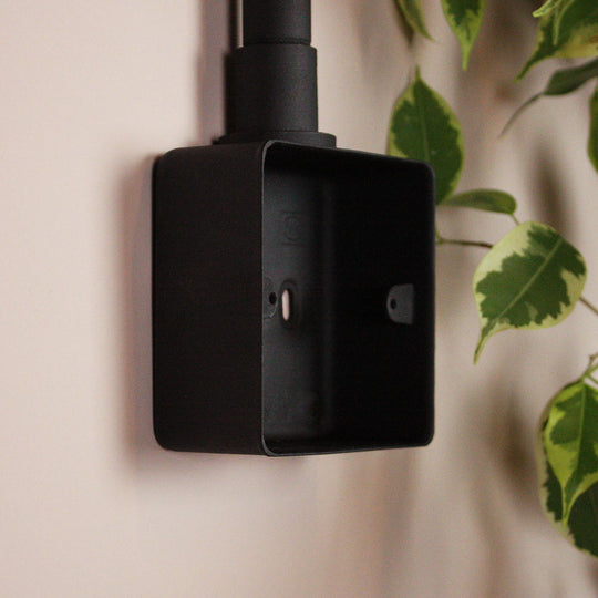 Textured Black Single Back Box