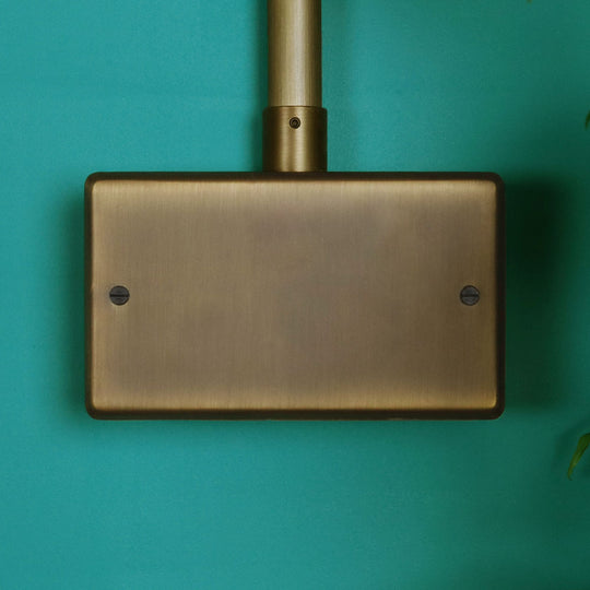 Antique Brass Double Blank Plate