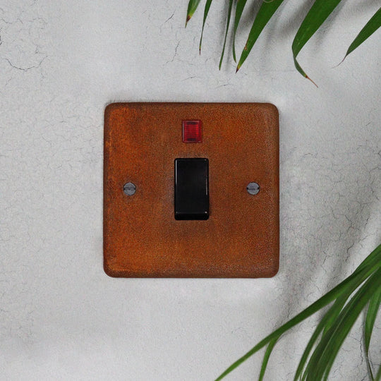 Rusted 20A Double Pole Switch