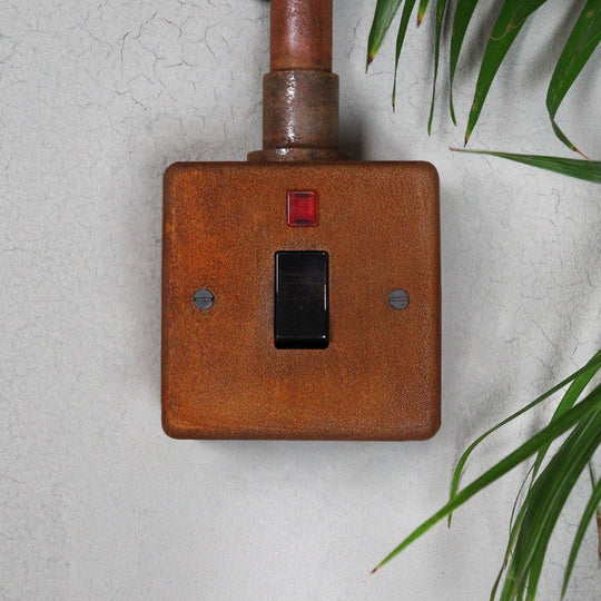 Rusted 20A Double Pole Switch