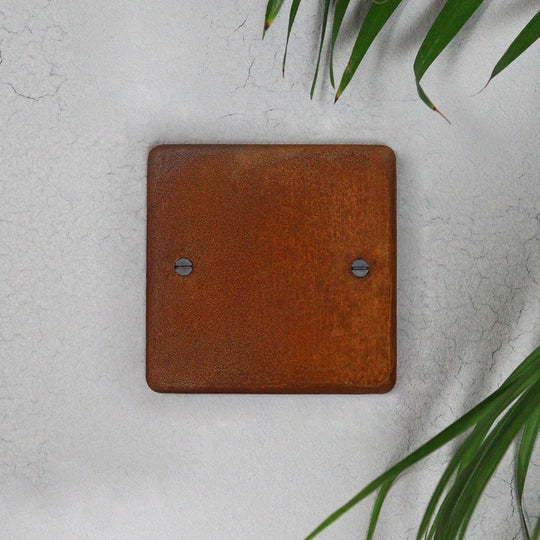 Rusted Single Blank Plate