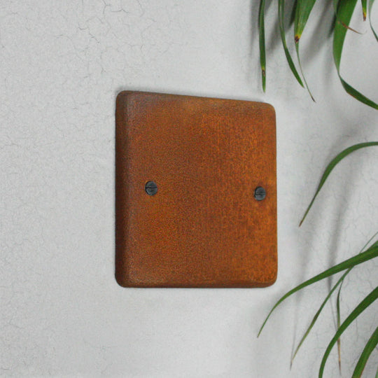 Rusted Single Blank Plate
