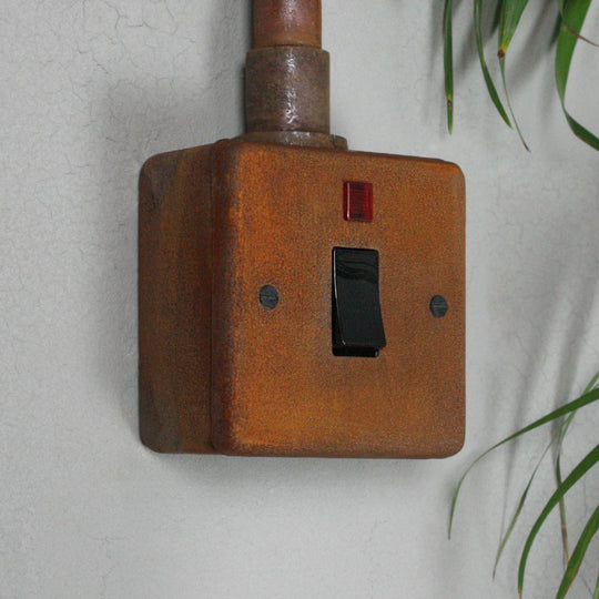 Rusted 20A Double Pole Switch