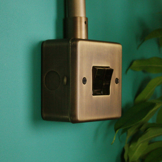 Antique Brass 2 Gang 2 Way Switch.