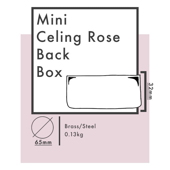 Mini Ceiling Rose Back Box