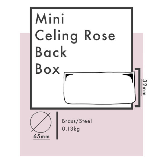 Mini Ceiling Rose Back Box