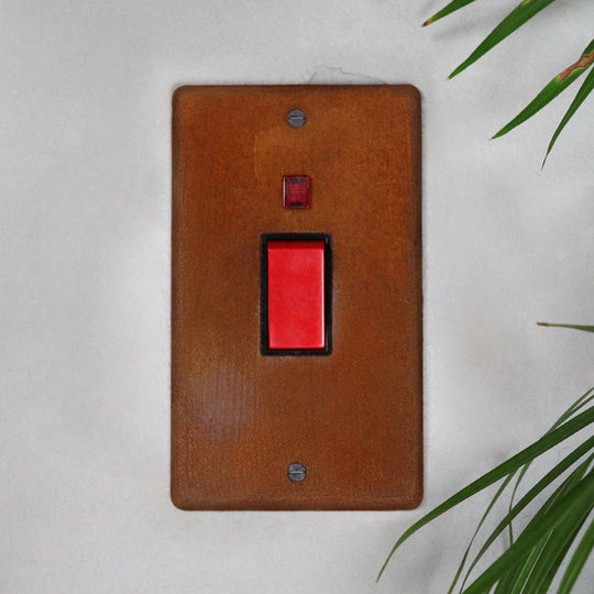 Rusted 45A Double Pole Switch