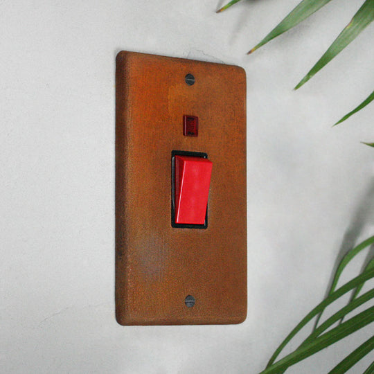 Rusted 45A Double Pole Switch
