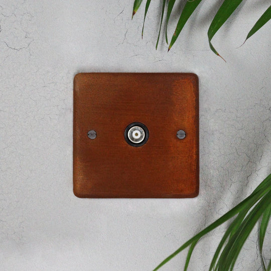 Rusted Aerial Socket