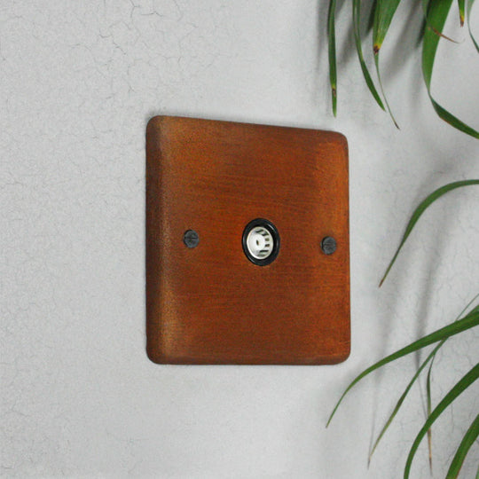 Rusted Aerial Socket