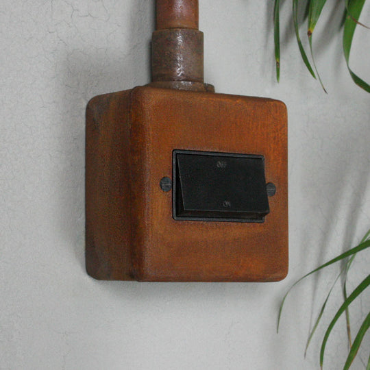 Rusted 6A Fan Switch